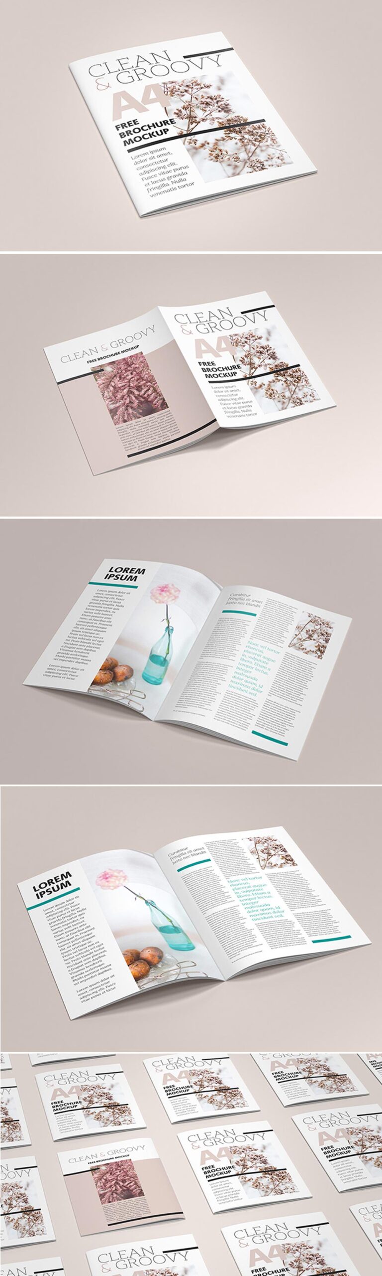 Free A4 Brochure Catalog Mockup PSD