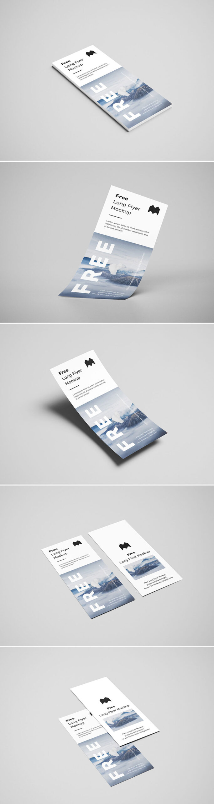 Free Long Flyer Mockup PSD