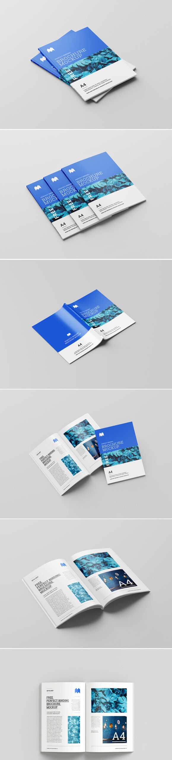 Free A4 Binding Brochure Mockup PSD