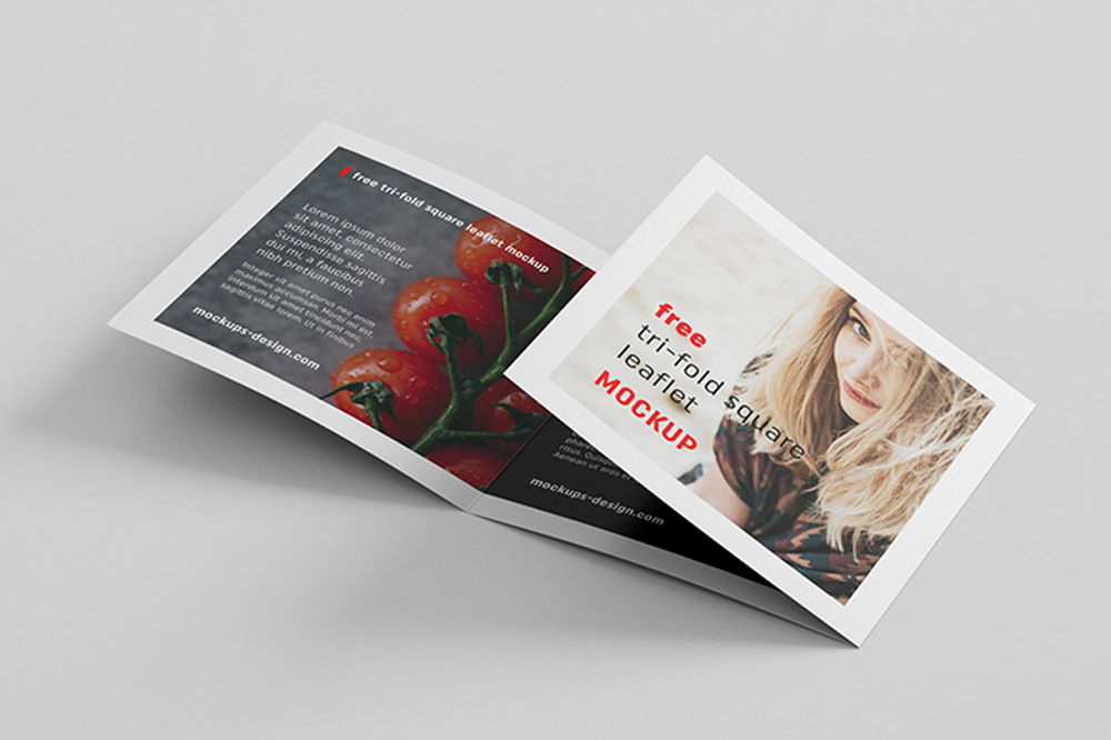 Free Square Trifold Leaflet Mockup