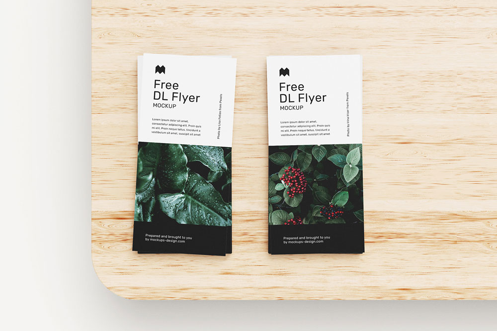 Free DL Leaflet Flyer Mockup PSD