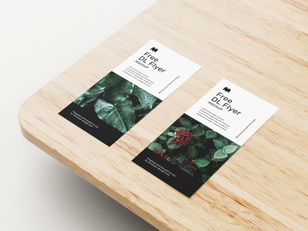 Free DL Leaflet Flyer Mockup PSD