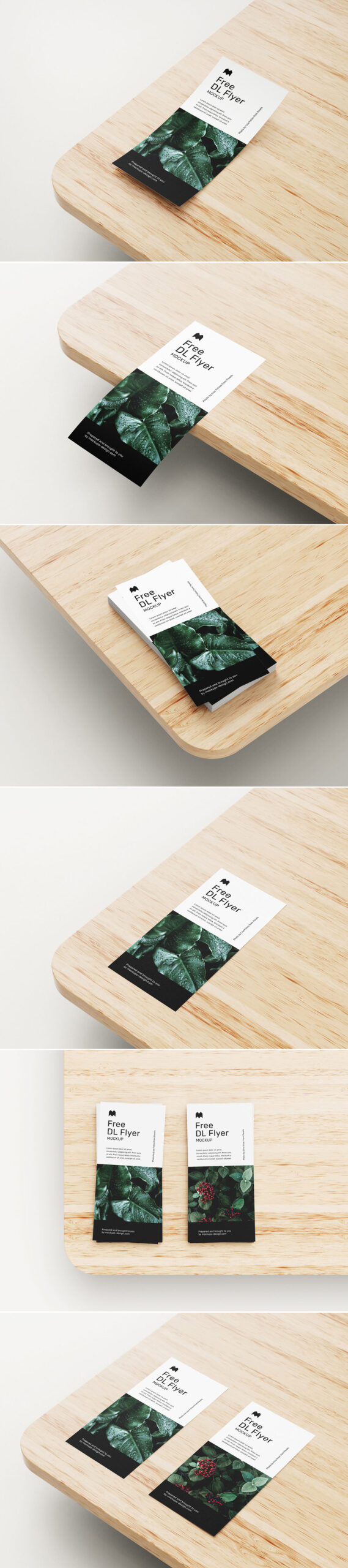 Free DL Leaflet Flyer Mockup PSD