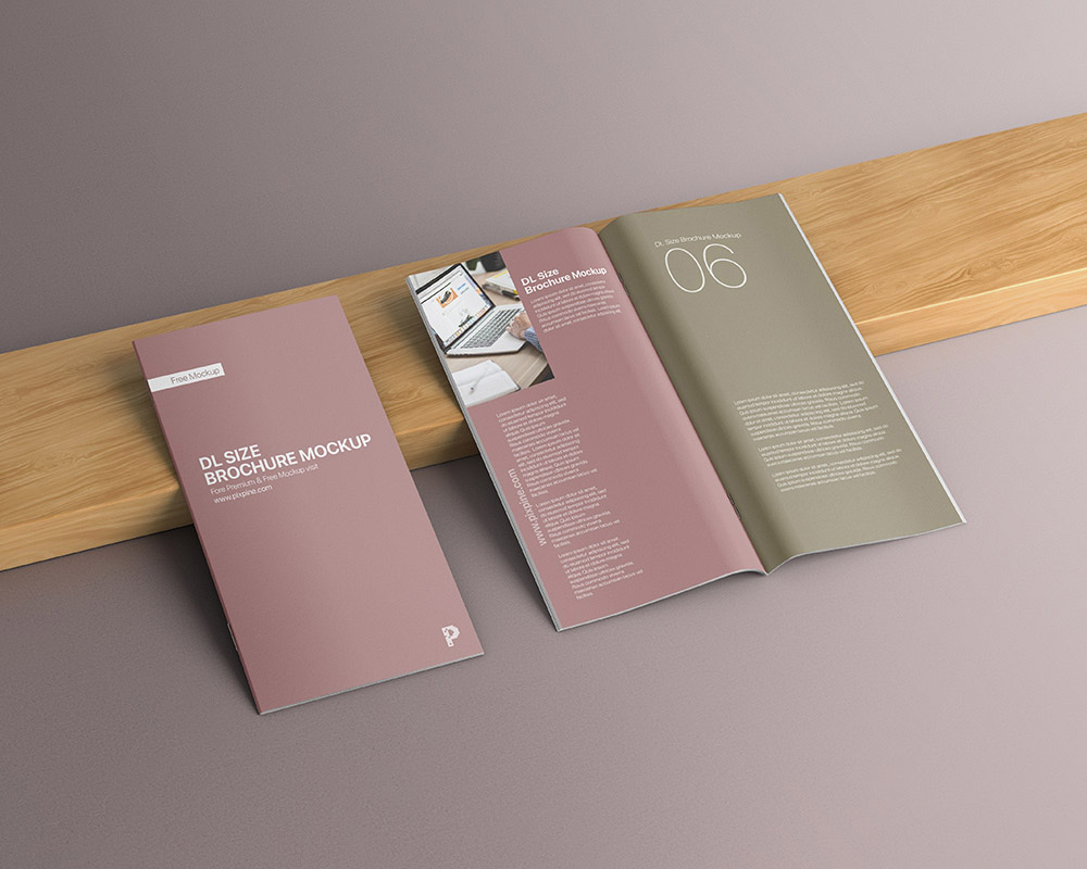 Free DL Size Brochure Mockup PSD
